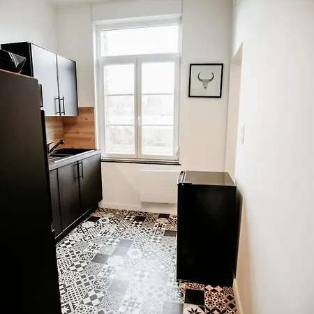 Apartment Les Capucins - Duplex Hyper Centre Cambrai